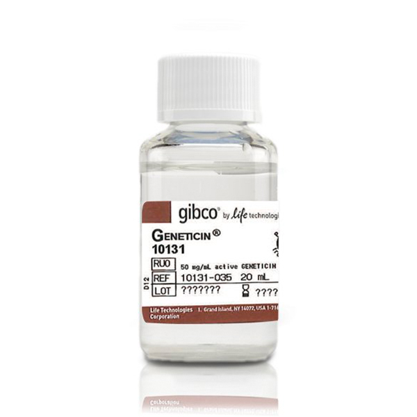 thermo.10131035	Geneticin™ Selective Antibiotic (G418 Sulfate) (50 mg/mL)	20 mL