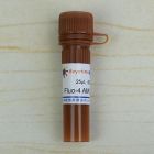 碧云天.S1060   	Fluo-4 AM (钙离子荧光探针, 2mM) 	25UL