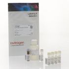 Invitrogen	    Q32852	Qubit™ RNA HS Assay Kit	100 assays