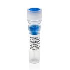 Invitrogen	AM9515  	GlycoBlue™ Coprecipitant (15 mg/mL)