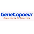 GeneCopoeia.CmiR-SN0001-SN	 miRNA mimics  对照