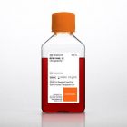 Corning	10-013-CVR	DMEM HIGH GLUCOSE	  500 mL
