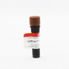 Biotium	41003	GELREDTM NUCLEIC ACID GEL STAIN, 10,000X 0.5ml