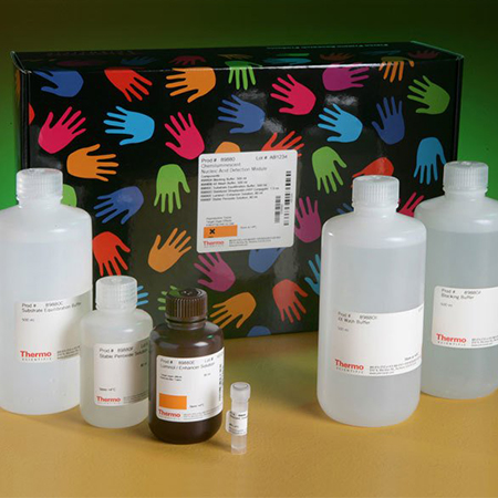 Invitrogen.L13152 	LIVE/DEAD™ BacLight™ Bacterial Viability Kit	1 kit