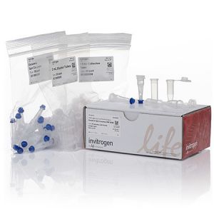 Invitrogen	4484449	Exosome Spin Columns (MW 3000)	30 columns
