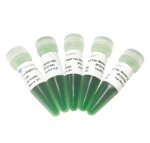 vazyme.P222-01	2 × Rapid Taq Master Mix	5 ml