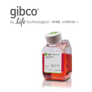 Thermo.61870036	RPMI 1640	500ml