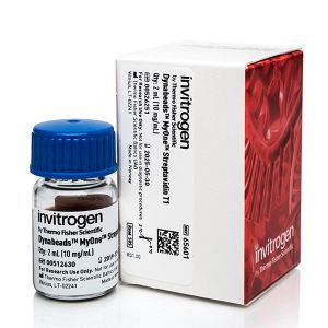 Thermo.65601 	Dynabeads™ MyOne™ Streptavidin T1 	2ml