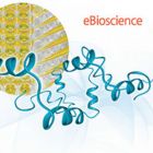 eBioscience.11-0566-42   Anti-Human CD56 (NCAM) FITC   100Teses