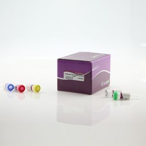 TIANGEN kr106-02 FastQuant RT Kit (With gDNase)(KR106) 20μl×100次 _TIANGEN
