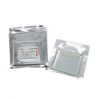 碧云天.P0456S	BeyoGel™ Plus PAGE预制胶(Tris-Gly, 10%, 15孔)	10块