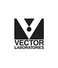 Vector.H-1200-10	VECTASHIELD Medium with DAPI  	10Ml