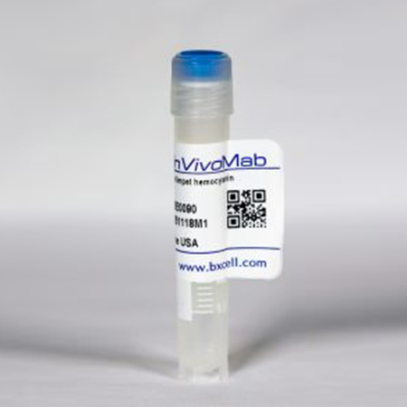 BioXcell.BE0131-25MG	InVivoMab anti-mouse CTLA-4 (CD152)