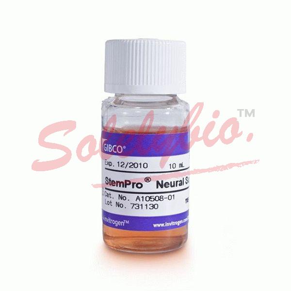 Gibco.A1050801 StemPro Neural Supplement 10 mL_Invitrogen