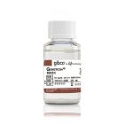 Invitrogen	10131-035	Geneticin® Selective Antibiotic (G418 Sulfate) (50 mg/mL)	20 mL
