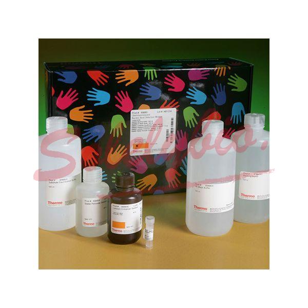 Thermo.K0441 TranscriptAid T7 High Yield Transcription Kit 50 reactions