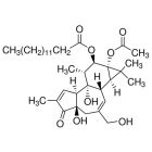 Sigma	P8139-1mg	Phorbol 12-myristate 13-acetate	