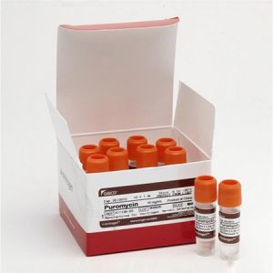 Thermo	A1113803	Puromycin Dihydrochloride	10 x 1 mL
