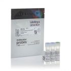 Thermo.L34965	LIVE/DEAD Fixable Aqua Dead Cell Stain Kit, for 405 nm excitation	 80 assays