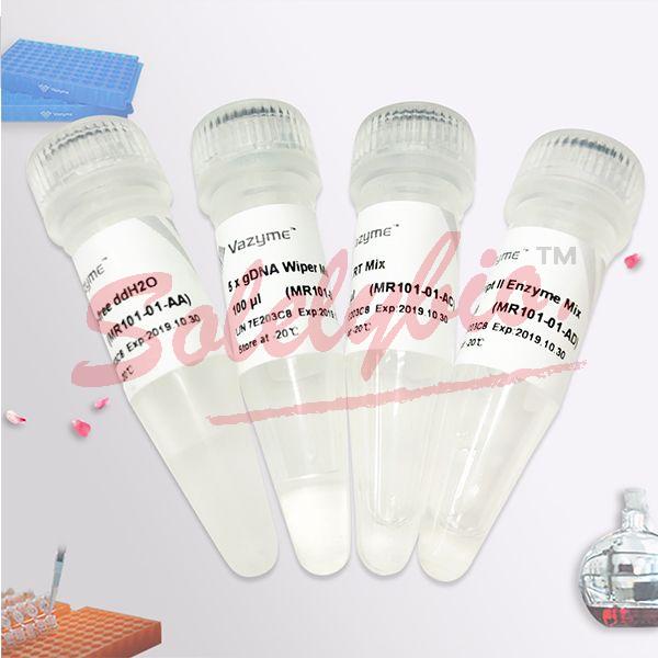 vazyme.MR10101 miRNA 1st Strand cDNA Synthesis Kit (by stemloop)；microRNA 逆转录产品（茎环法） 50 rxn