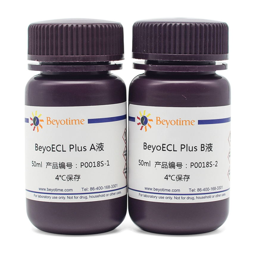 碧云天.P0018S	BeyoECL Plus (超敏ECL化学发光试剂盒)	100ml