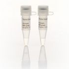 Thermo.R0551	Glycogen, RNA grade  2 x 0.1 mL