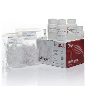 Invitrogen.K210012   PureLink™ Quick Gel Extraction Kit   50 preps