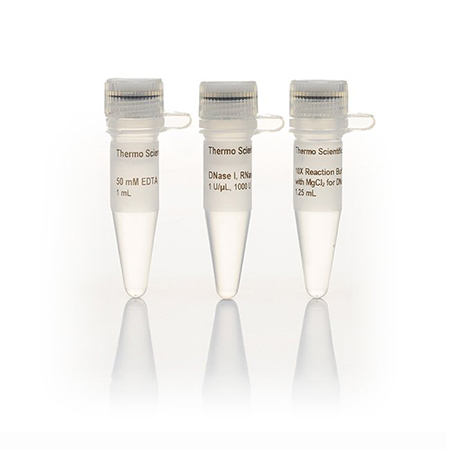 Invitrogen	  EN0521	DNase I, RNase-free (1 U/µL)
