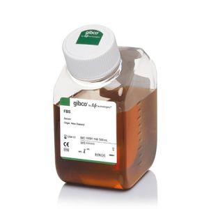 Invitrogen 10091-148  Fetal Bovine Serum, Qualified, New Zealand Origin