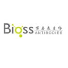 bioss.bs-20594R	Rabbit Anti-TLR4 antibody 	50ul