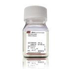 Invitrogen.15240062    Antibiotic-Antimycotic, 100X     100 mL