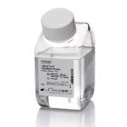 Invitrogen  10977015   UltraPure™ DNase/RNase-Free Distilled Water     500 mL