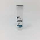 vector.SP-0603-1	ANTI-DINITROPHENYL (DNP) (MADE IN RABBIT) (1mg)	1mg