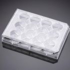 corning.353043   12-well Clear Flat Bottom TC-treated Multiwell Cell Culture Plate, with Lid, Individually Wrapped, Sterile, 50/Case