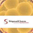 Signalchem.H85-30G-10 	HDAC3, Active	10ug