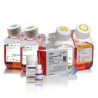 Invitrogen.NP0002    NuPAGE™ MES SDS Running Buffer (20X)   500 mL