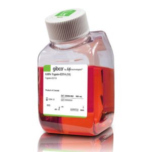 Thermo 	25300062	Gibco  Trypsin-EDTA (0.05%), phenol red 	500ml，保存：-20℃