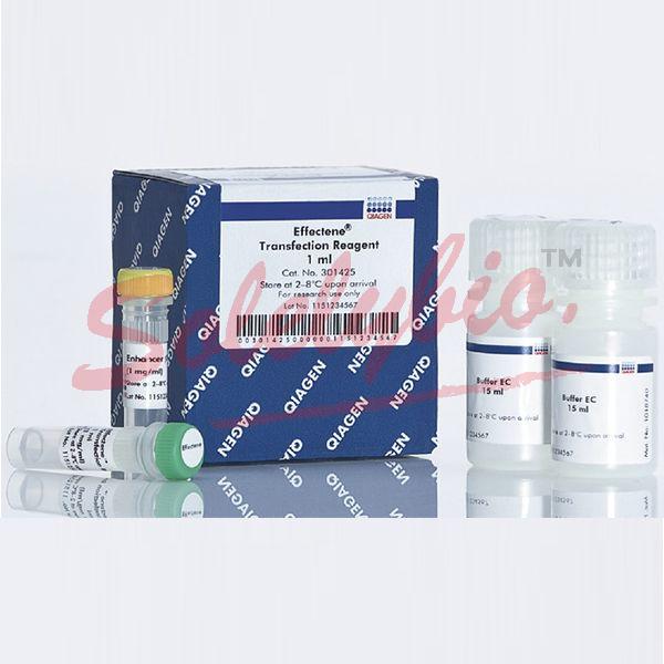 qiagen.301425 Effectene Transfection Reagent 1ml