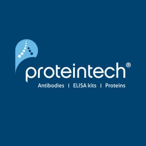 proteintech.SA00001-2	HRP-conjugated Affinipure Goat Anti-Rabbit IgG(H+L)	100ul