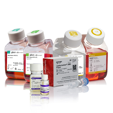 Invitrogen.10010049     PBS, pH 7.4   10 x 500 mL