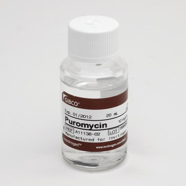 Gibco.A1113802	Puromycin Dihydrochloride	20 mL