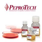 Peprotech.100-18B-10      Recombinant Human FGF-basic (154 a.a.)    10ug     