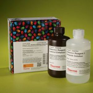 Thermo.32106Pierce™ ECL Western Blotting Substrate	500ml