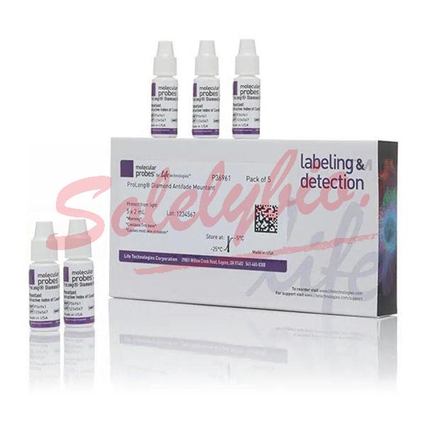 Invitrogen.P36961 ProLong™ Diamond Antifade Mountant 5 x 2 mL_Invitrogen