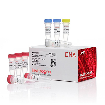 Invitrogen.450245    Zero Blunt™ TOPO™ PCR Cloning Kit, without competent cells   25 reactions