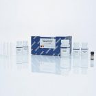 Qiagen	57704	QIAamp MinElute Virus Spin Kit (50)