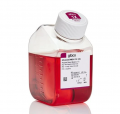 Thermo.12634010	Advanced DMEM/F-12	500 mL