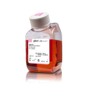 THERMO.11095-080   MEM   500 mL