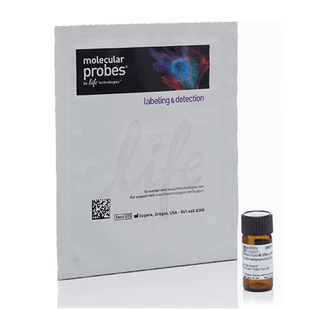Invitrogen	D3922	BODIPY® 493/503 (4,4-Difluoro-1,3,5,7,8-Pentamethyl-4-Bora-3a,4a-Diaza-s-Indacene)	10 mg