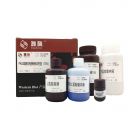 雅酶.PG114	PAGE凝胶快速制备试剂盒（15%）	125gels